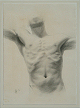 "Torso Study" by artist David Hewson