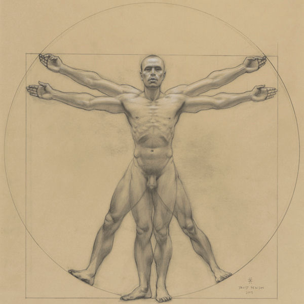 vitruvian man sketch by artist David Hewson